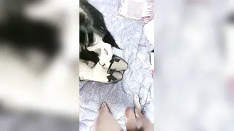 长发红唇美女主播【浴室口交】先自慰，毛毛很旺盛，第一视角口交无套啪啪，高潮迭起叫床声很大