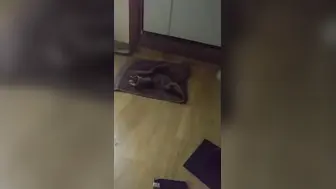 清纯F奶大学生美女与粗屌男友啪啪啪 自拍流出水蜜桃大胸黑丝肉丝制服装
