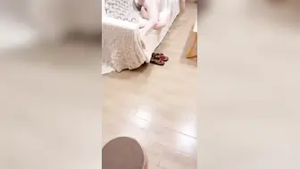 哄骗刚破处的妹妹一块去洗浴中心，强迫让她穿上半露奶子的泳衣，卫生间出来就拉到休息室掰开嫩逼爆操，下屌太重给操哭了