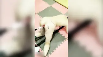 抖音 70 万粉丝网红 妹妹别哭 被金主绑在椅子上各种 SM 调教直播 其抖音已经停更！