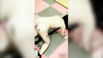 抖音 70 万粉丝网红 妹妹别哭 被金主绑在椅子上各种 SM 调教直播 其抖音已经停更！