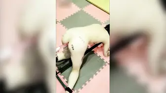 抖音 70 万粉丝网红 妹妹别哭 被金主绑在椅子上各种 SM 调教直播 其抖音已经停更！