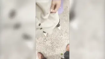 痴女大神野战乱伦公公